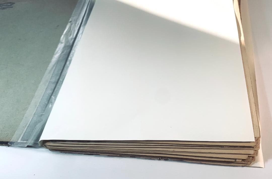 西洋装飾図集 オルナメント集成 大型図版集