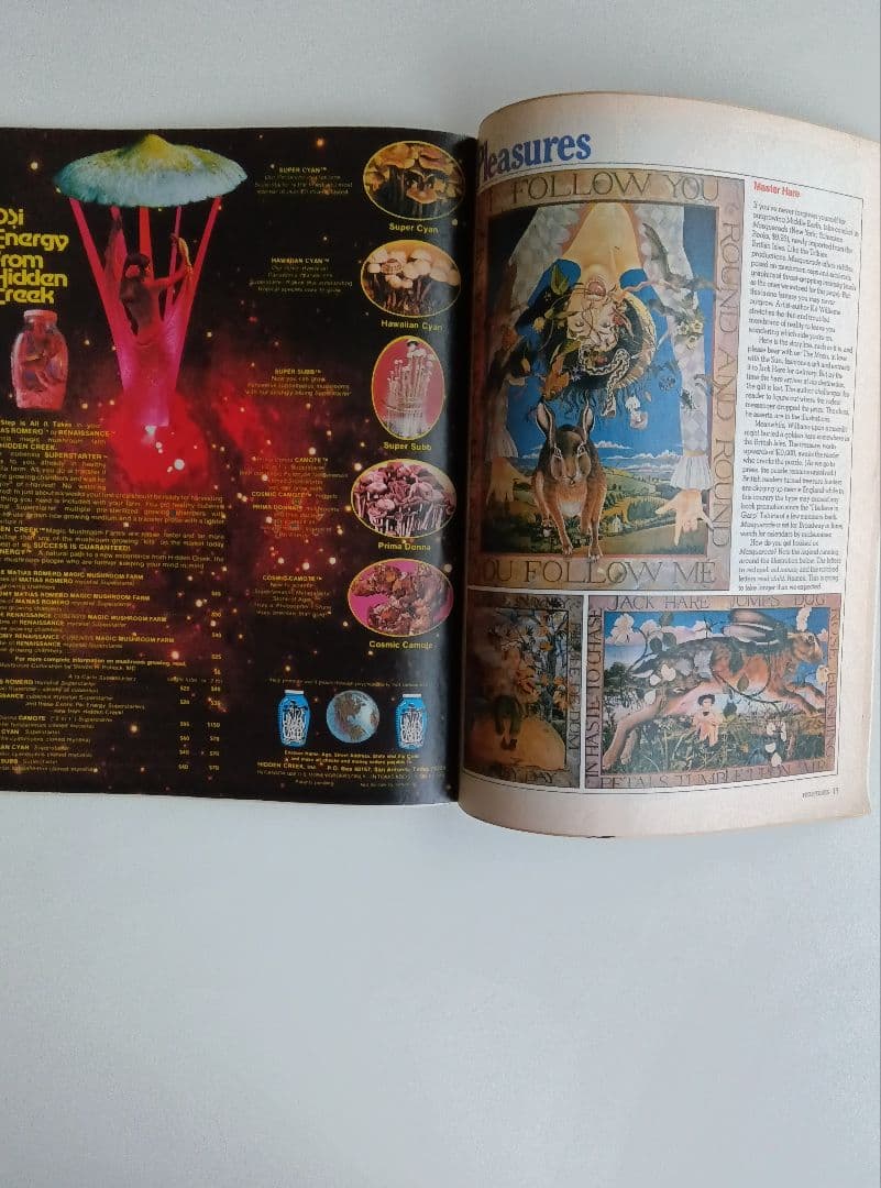 80s/VINTAGE/HIGH−TIME/FEBRUARY/1981/洋雑誌。