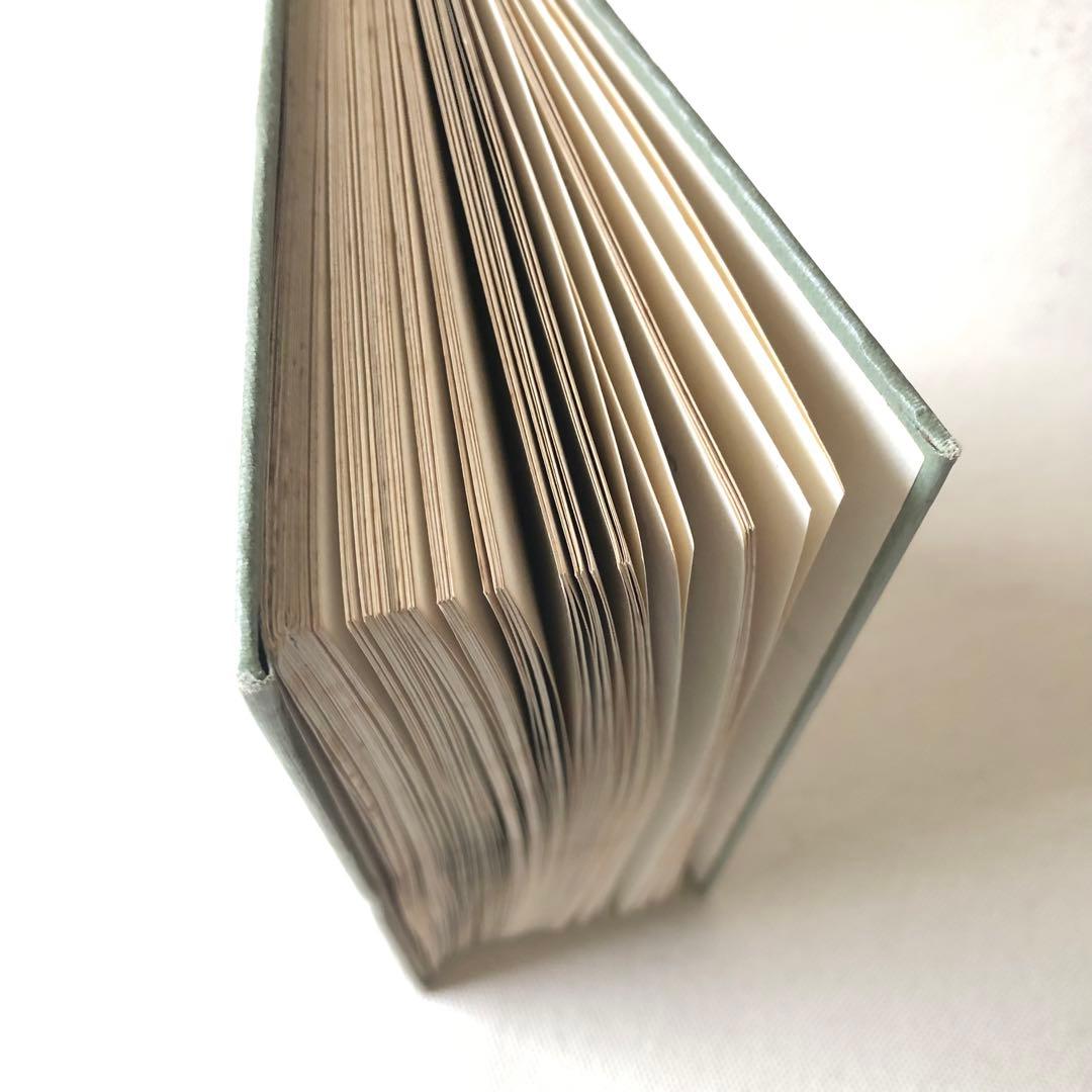 1910年 イギリスの希少な植物図鑑 FWF2 アンティーク