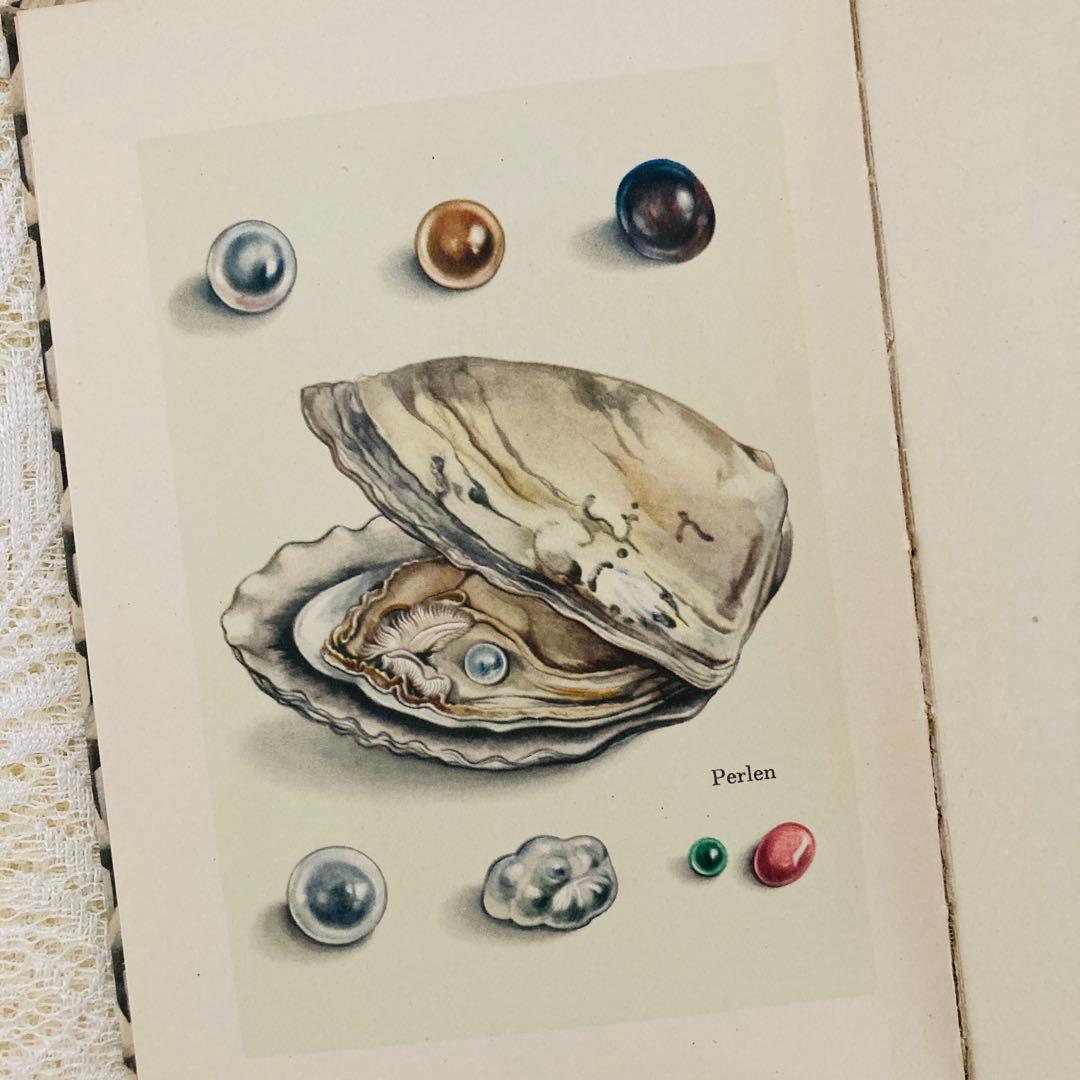 洋書　古書　インゼル文庫 No. 54　小さな鉱物の本　宝石　美しいイラスト♡