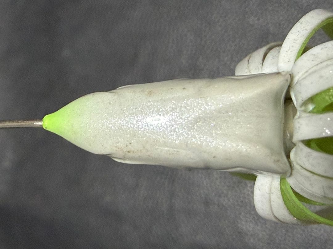 DEPS プロップジグ シャロートレーサー×8