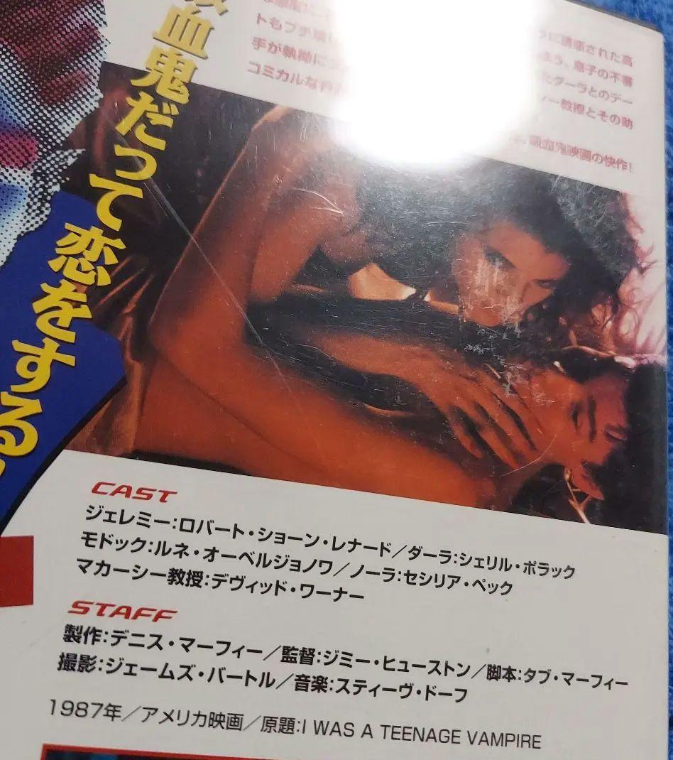 廃盤DVD☆ティーンバンパイア('86米)　国内正規品DVD　視聴確認済み