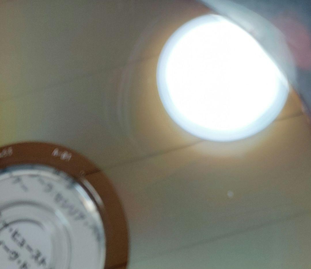 廃盤DVD☆ティーンバンパイア('86米)　国内正規品DVD　視聴確認済み