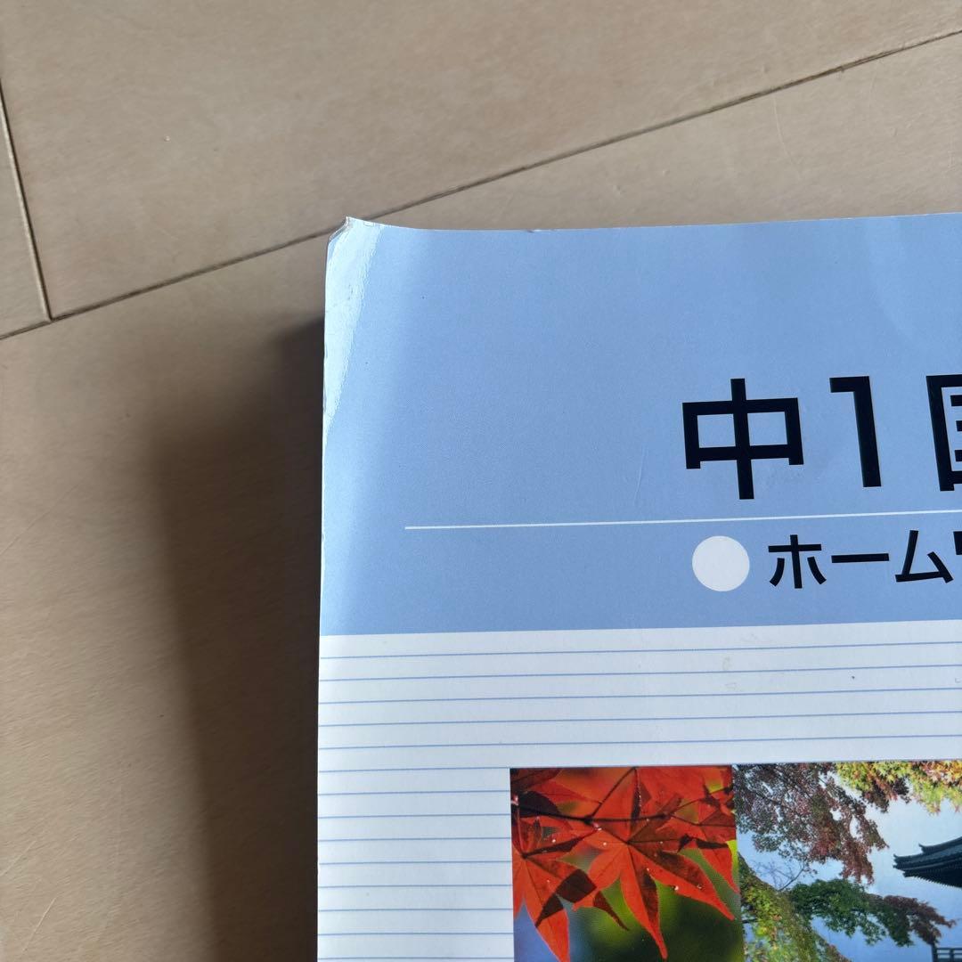 練成会 錬成会 練成ワーク ホームワーク 定期試験出題パターン集 中学1年生