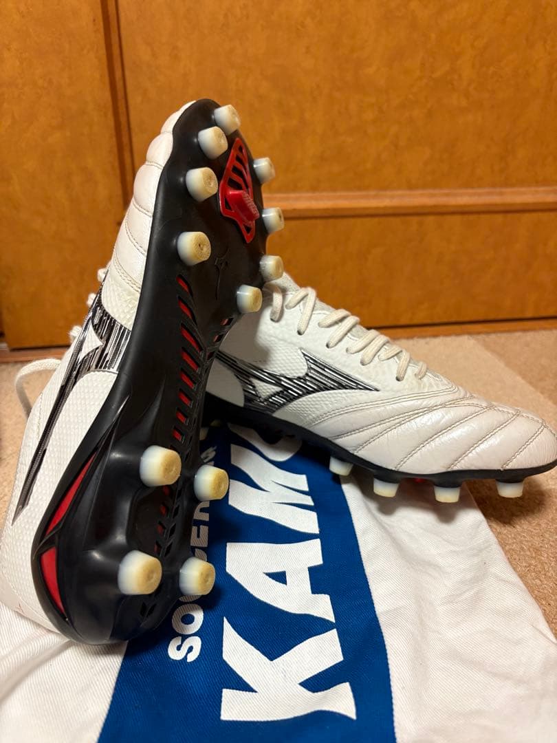 モレリアネオ4ベータ　白黒　25cm