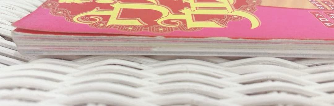 私たちのヴィヴィアンウエストウッド 本 Vivienne Westwood