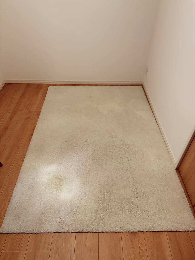 ベージュ フリースラグ