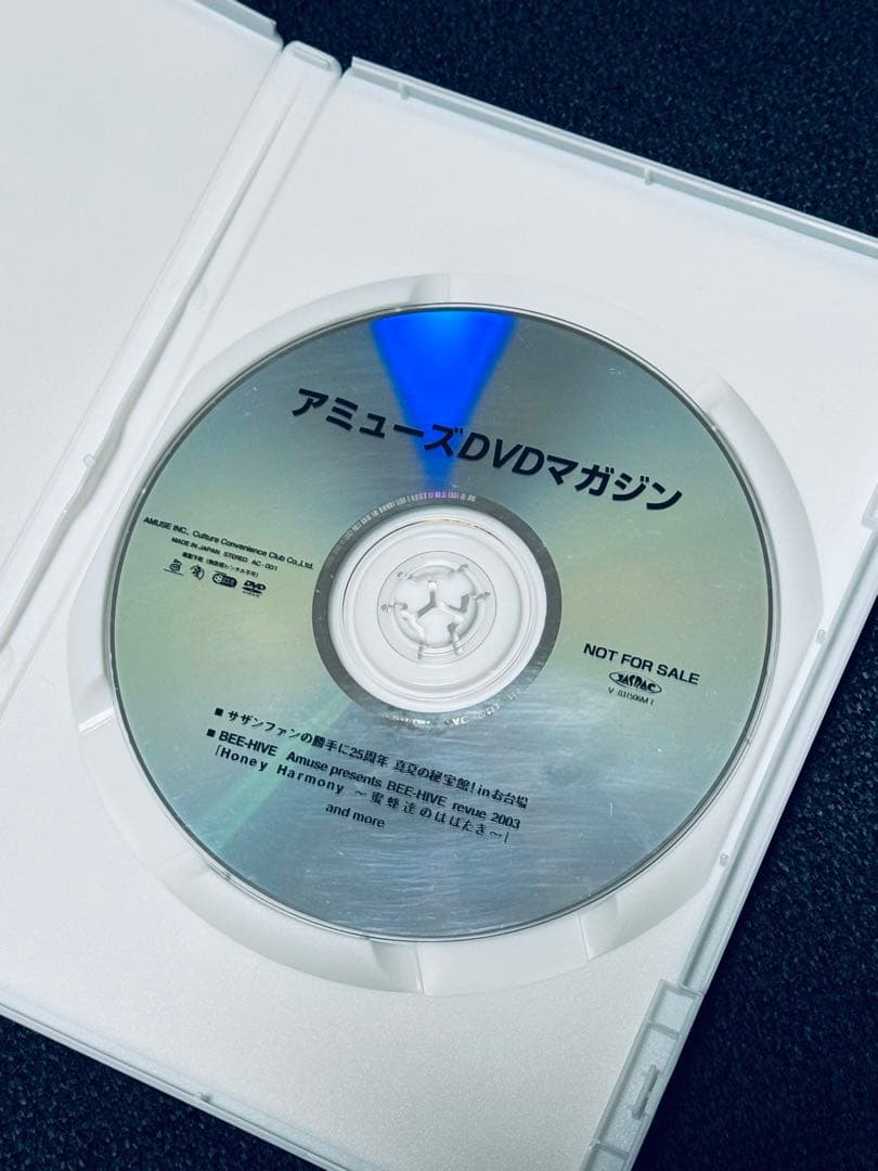 激レア 未発売 サザンオールスターズ 真夏の秘宝館inお台場 アミューズDVD