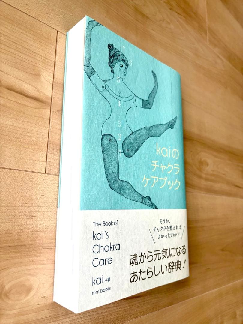 ＊美品＊kaiのチャクラケアブック