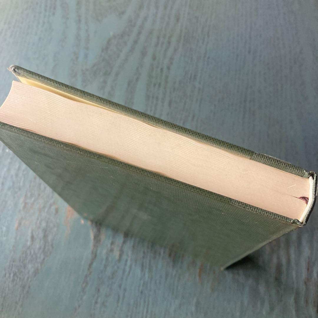 熱帯デルタの農業発展 高谷好一(著) メナム・デルタの研究 創文社 タイ稲作