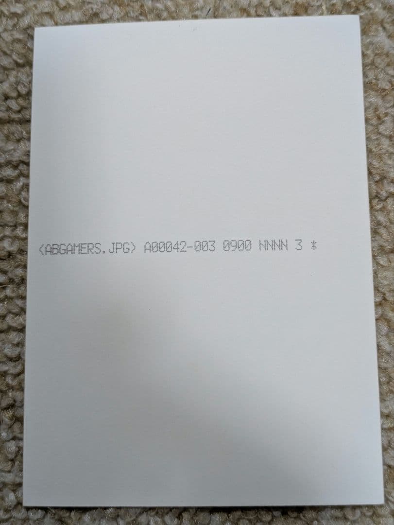 新世紀エヴァンゲリオン 13巻プレミアム限定版ゲーマーズ購入特典生写真風カード