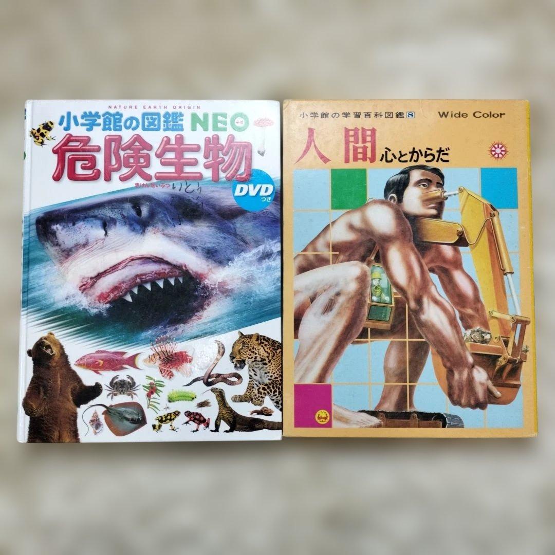 小学館の図鑑NEO☆２０冊セット☆まとめ売り