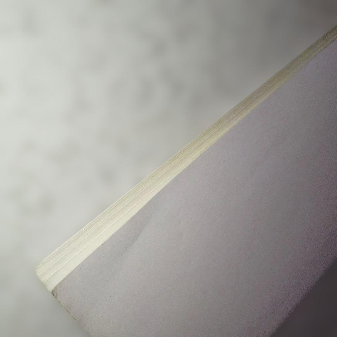 高3から始める入試対策 基礎解析集中講義　佐藤恒雄　#数学#東大#京大#医学部