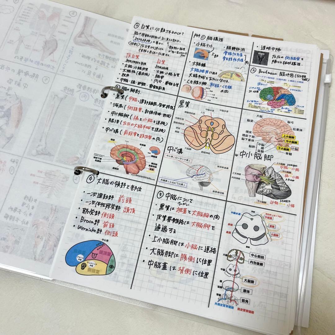 最新 2026 作業療法士 国家資格 必修ポイント セット まとめノート付き