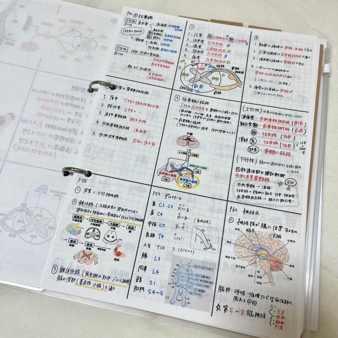最新 2026 作業療法士 国家資格 必修ポイント セット まとめノート付き