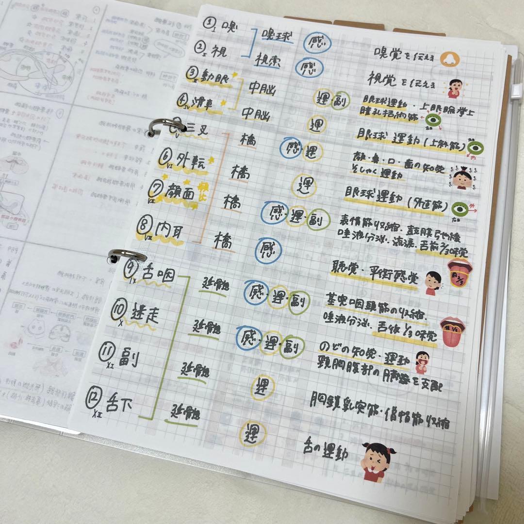 最新 2026 作業療法士 国家資格 必修ポイント セット まとめノート付き
