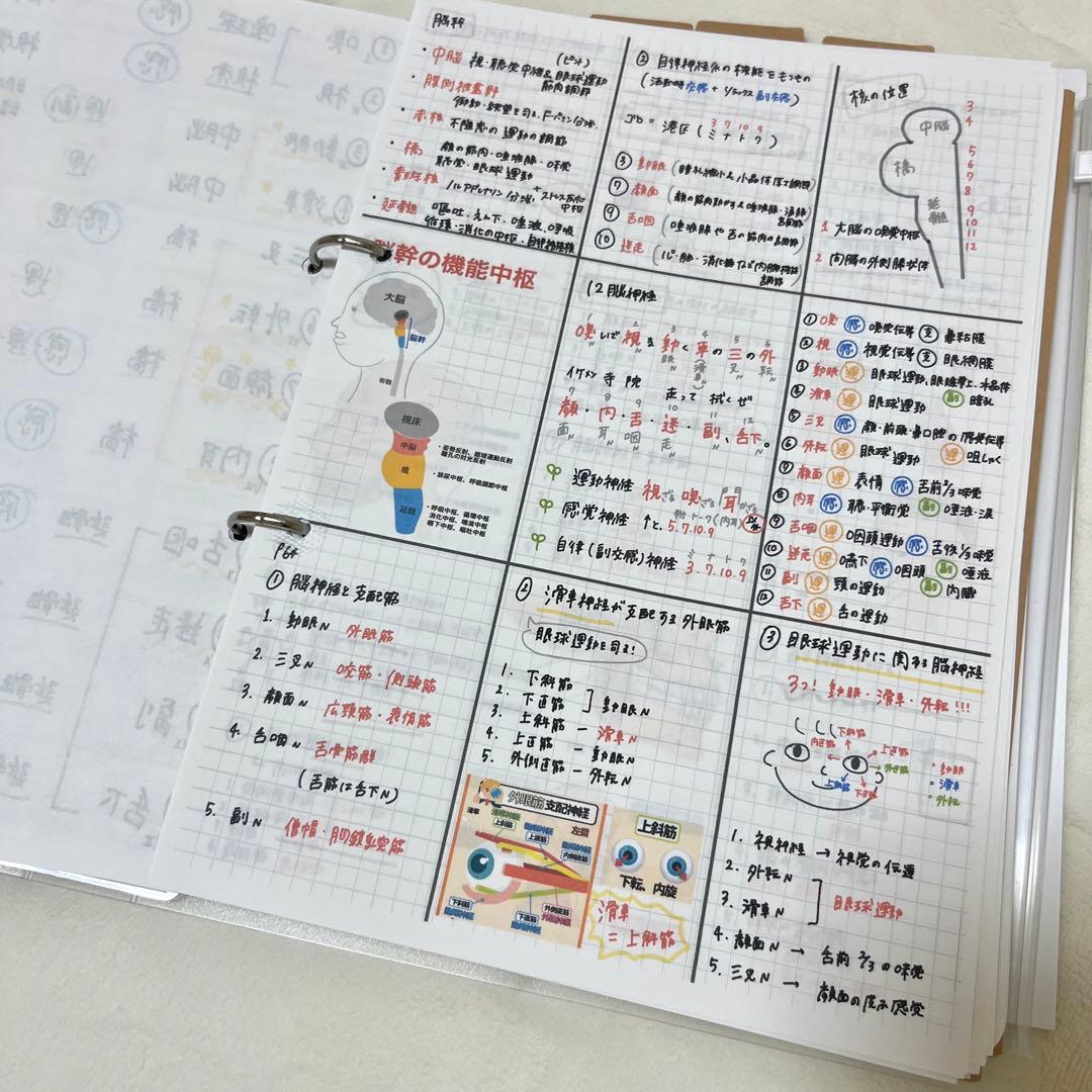 最新 2026 作業療法士 国家資格 必修ポイント セット まとめノート付き