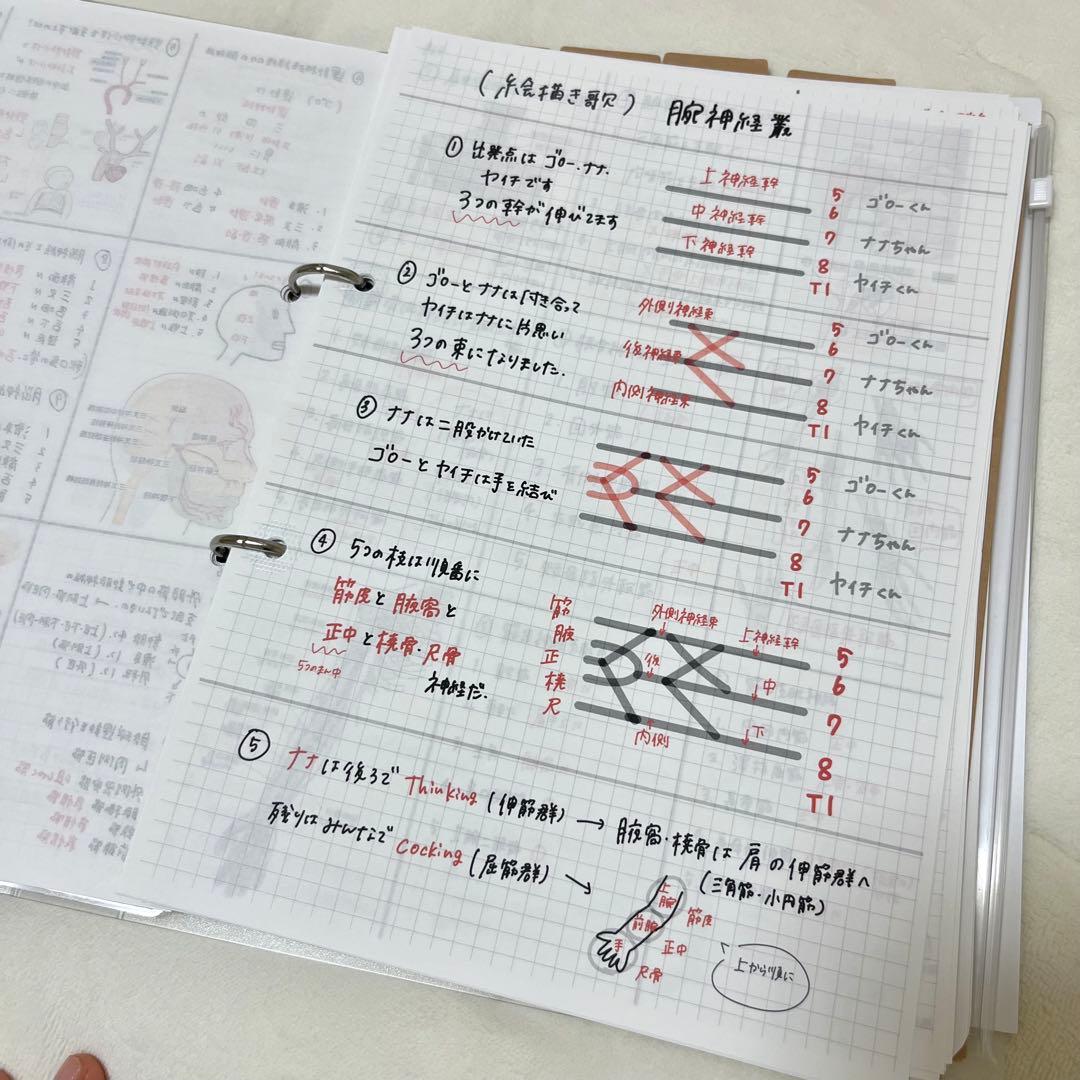 最新 2026 作業療法士 国家資格 必修ポイント セット まとめノート付き