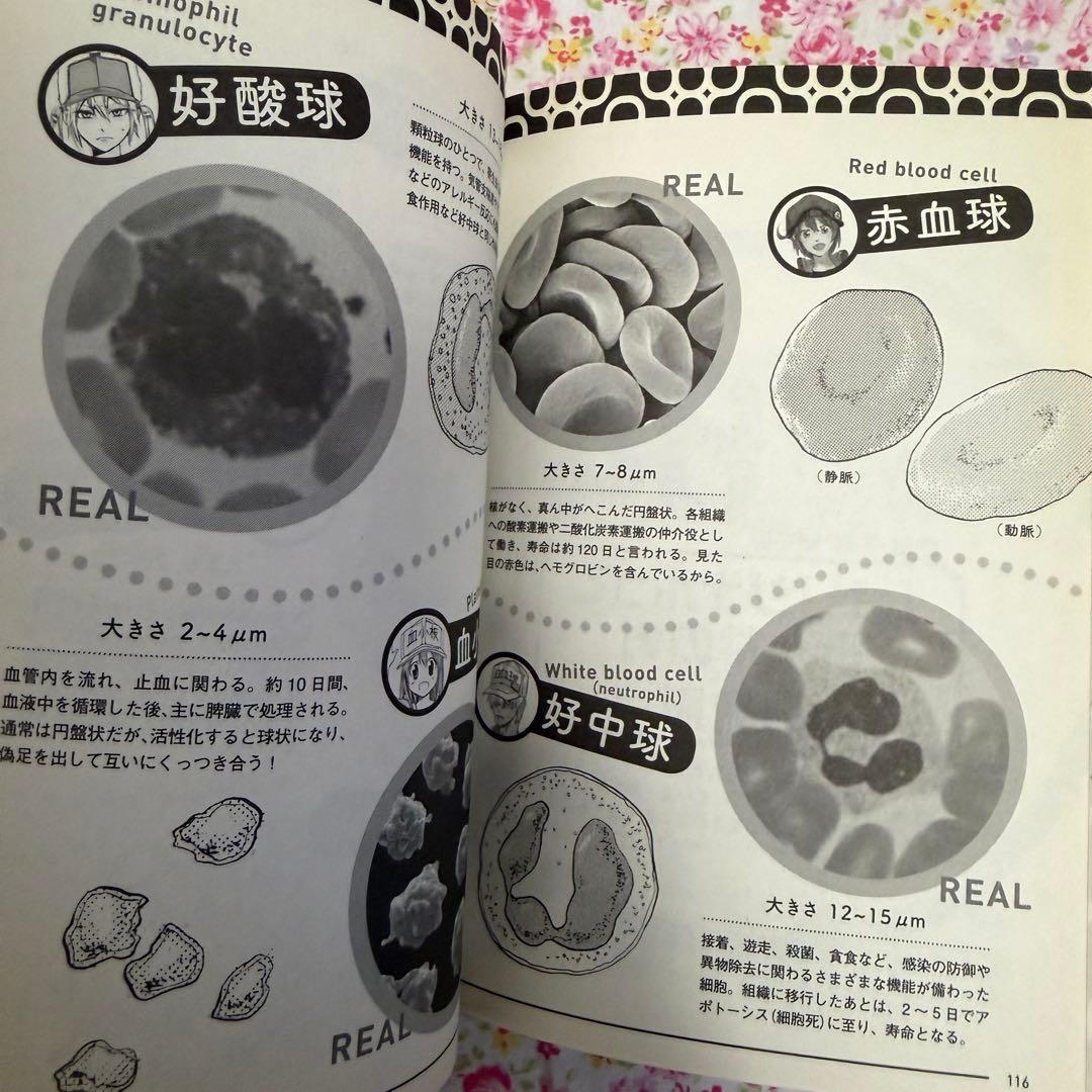 はたらく細胞 全巻セット はたらく細菌 アクリルキーホルダー 公式ファンブック