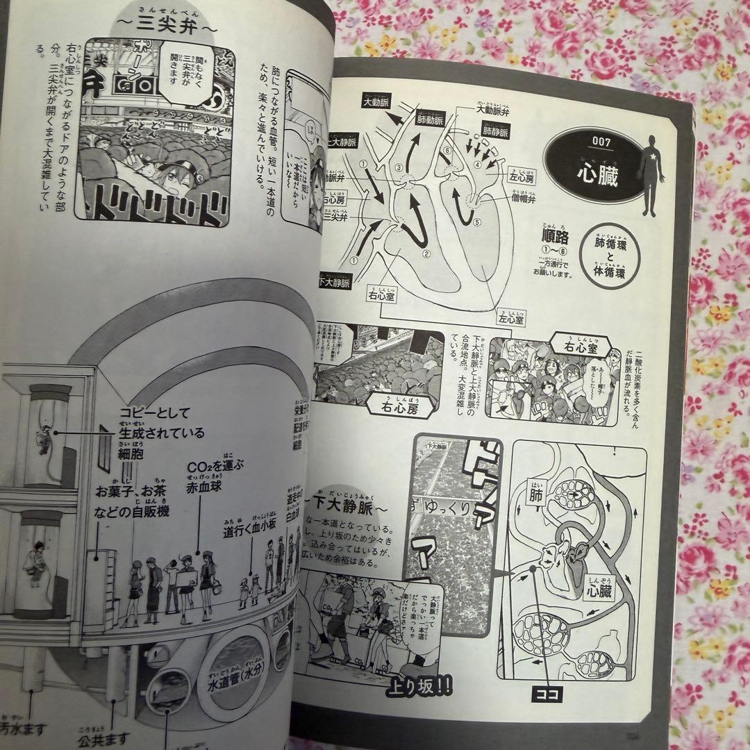 はたらく細胞 全巻セット はたらく細菌 アクリルキーホルダー 公式ファンブック