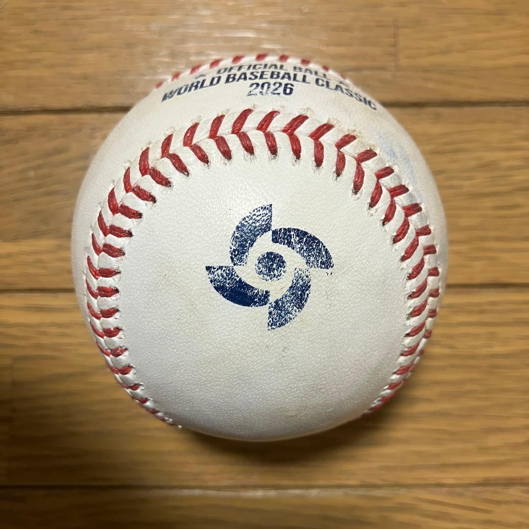 WBC ワールドベースボールクラシック 2026 台湾対韓国戦 ファールボール