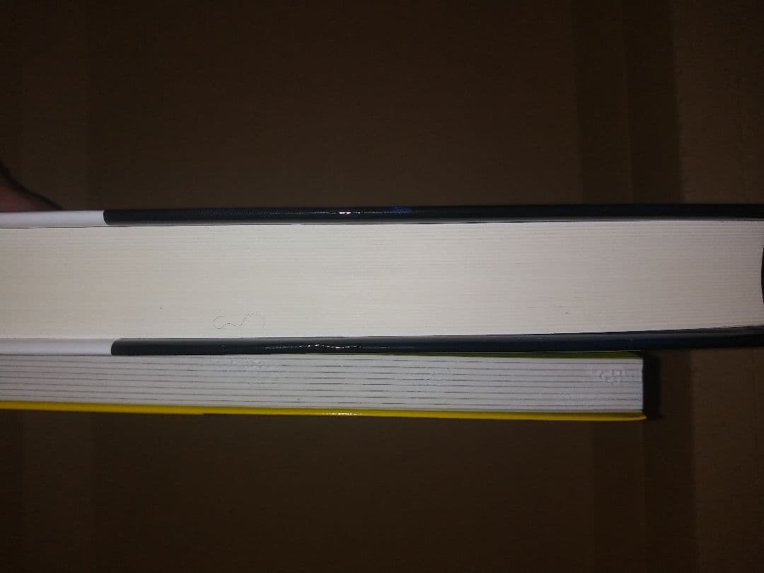 5分足スキャルピング FX億トレの2冊