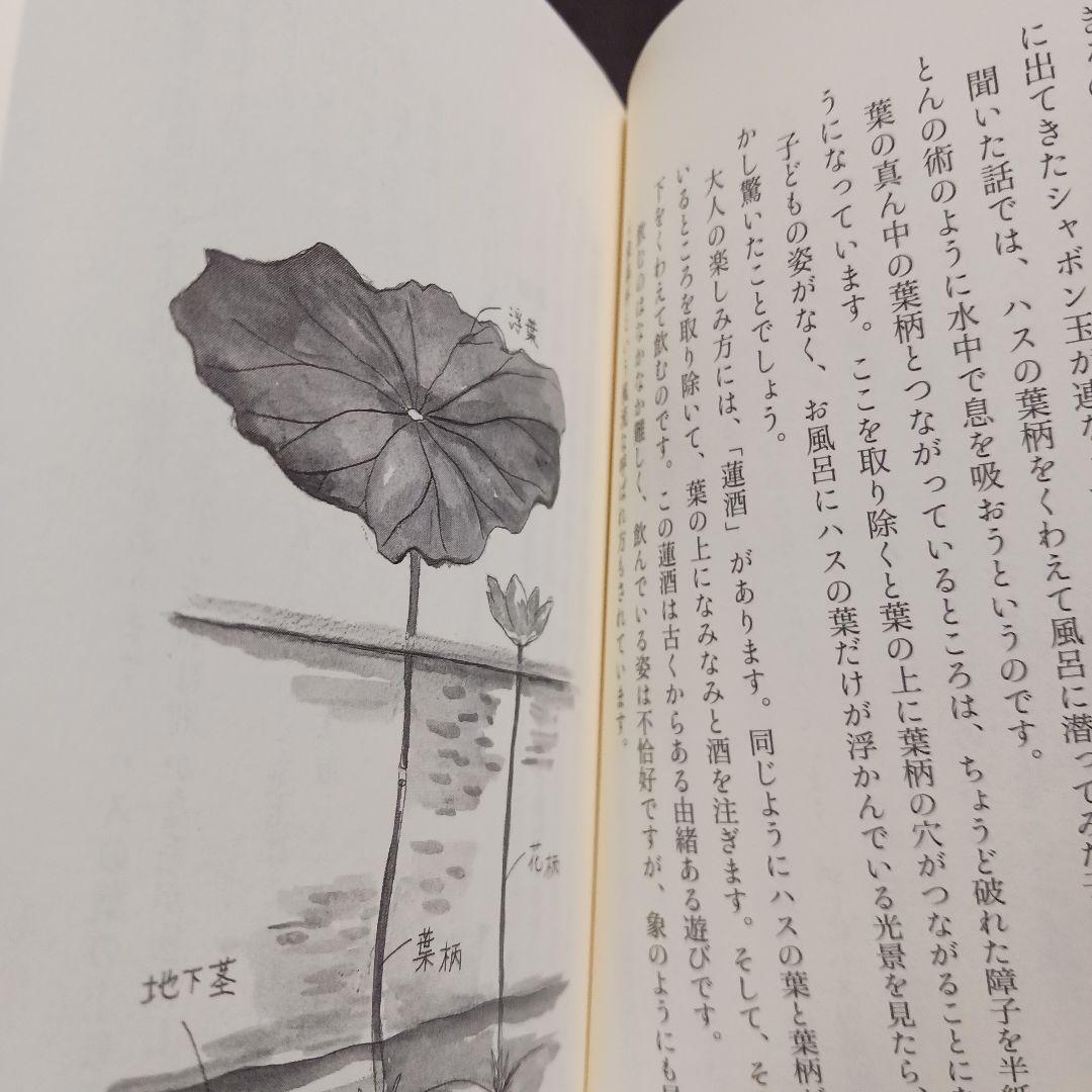 お話し中なぜ仏像はハスの花の上に座っているのか 仏教と植物の切っても切れない66