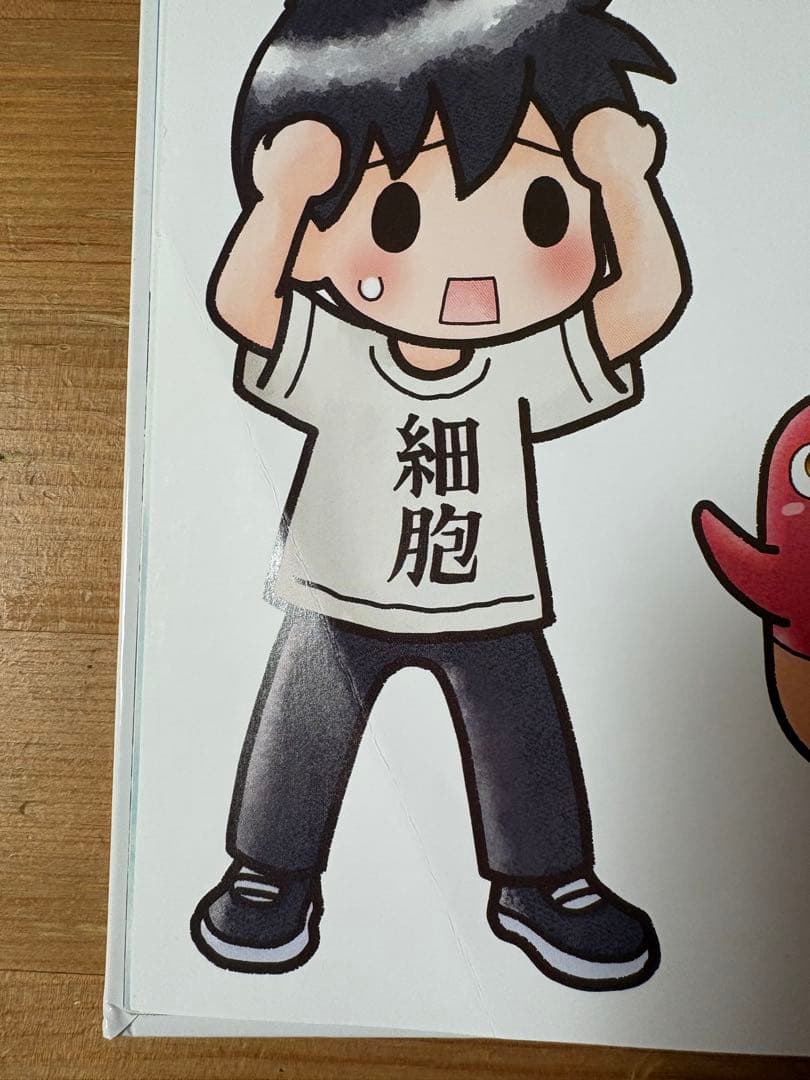 はたらく細胞　全巻セット