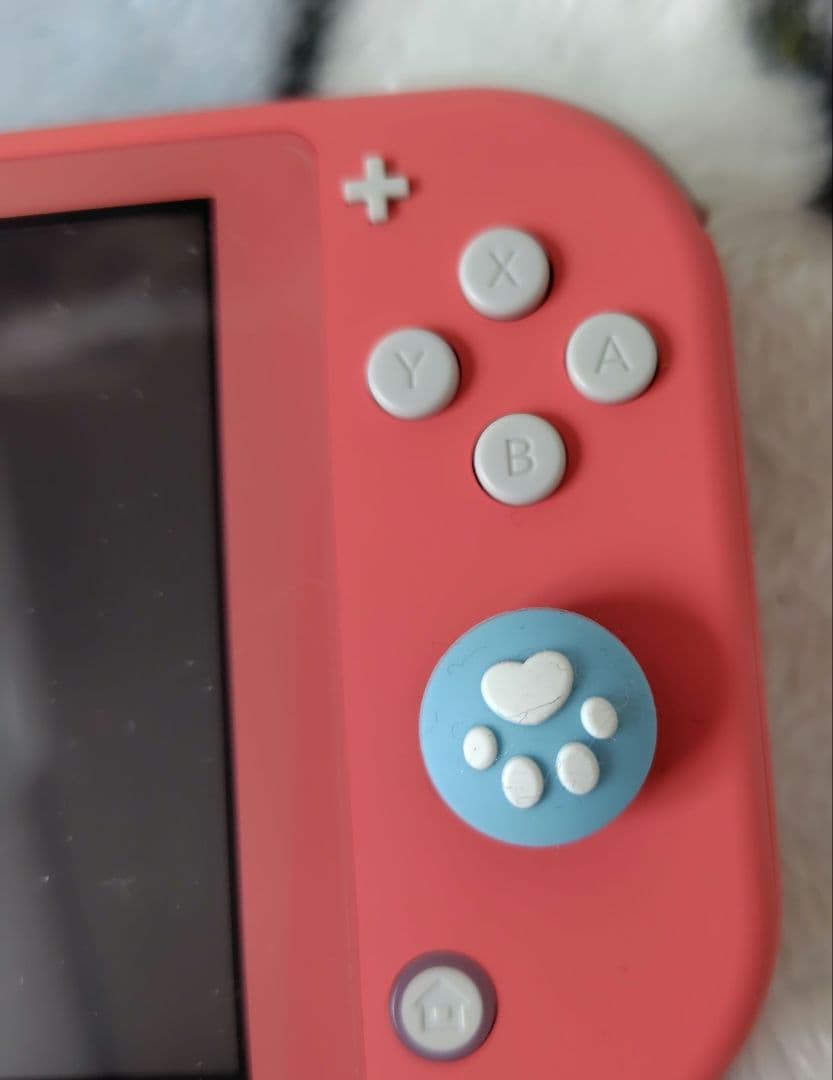 Nintendo Switch Lite ピンク キャリーケース付き 中古品