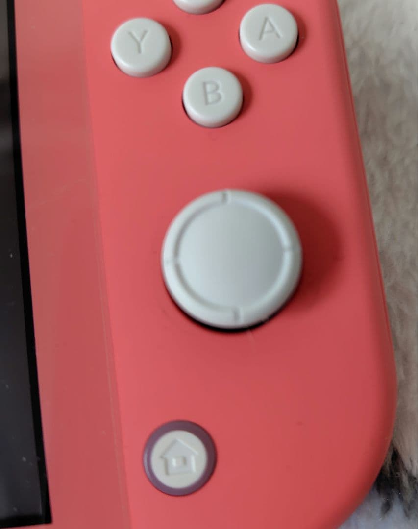 Nintendo Switch Lite ピンク キャリーケース付き 中古品