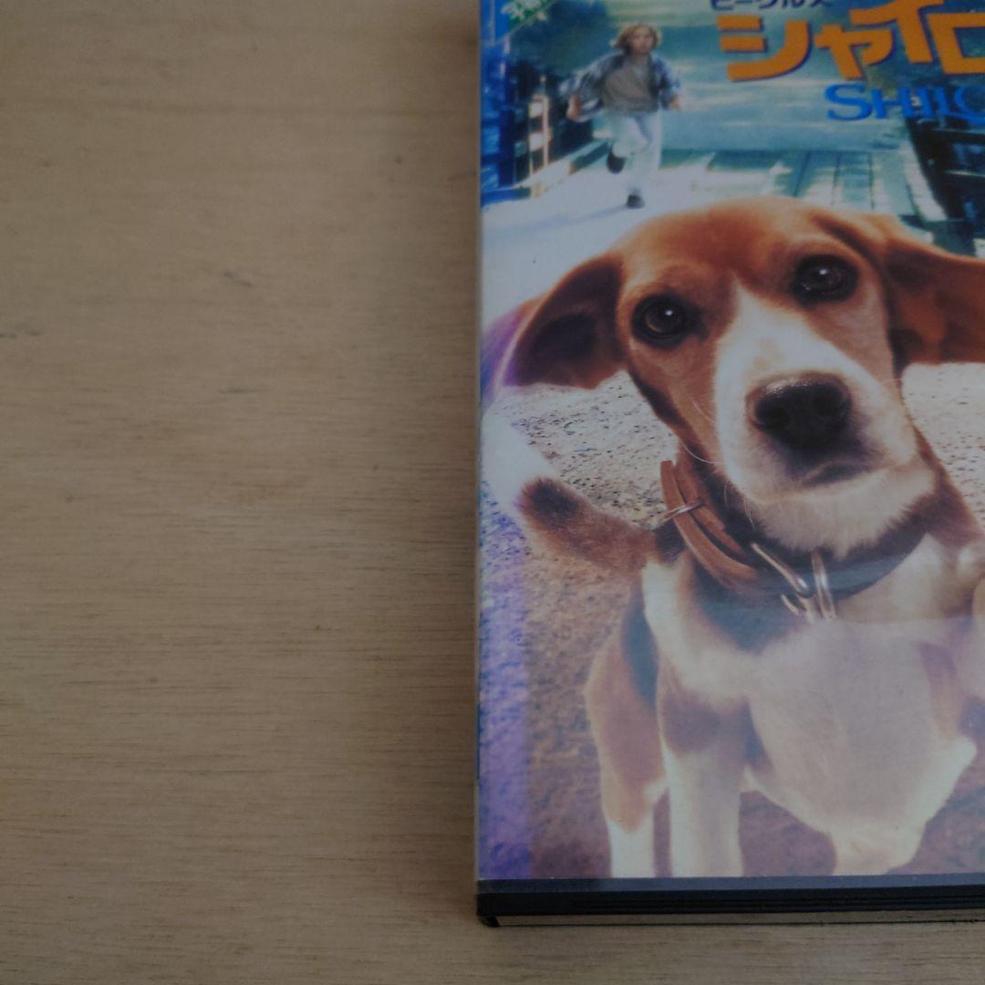 ビーグル犬 シャイロ 日本語字幕スーパー版 VHS