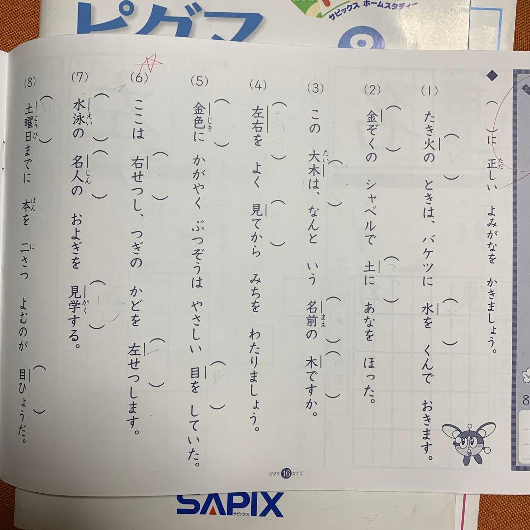 1年分 SAPIXピグマ小1 サピックスピグマ 1年生　SAPIX 入室テスト