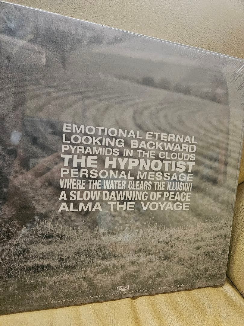 MELODY'S ECHO CHAMBER 新品