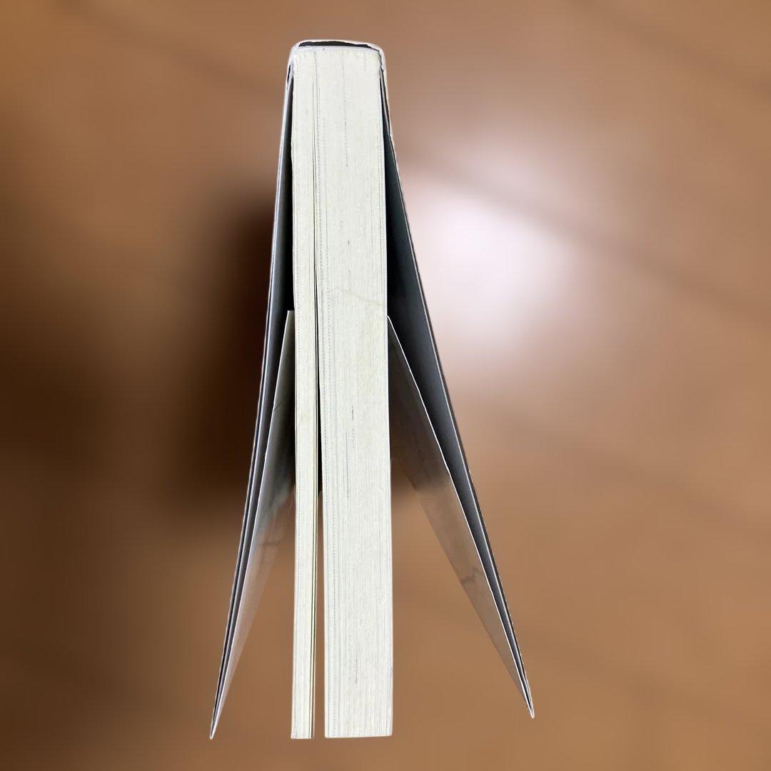 檻の外　木原音瀬　レア品