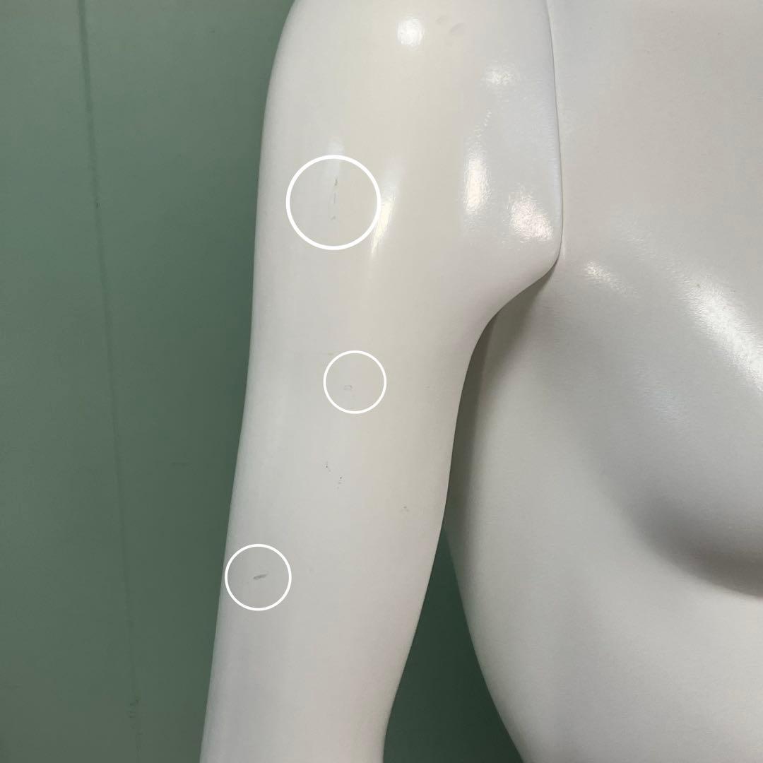 Rebody トルソー マネキン レディース 女性用