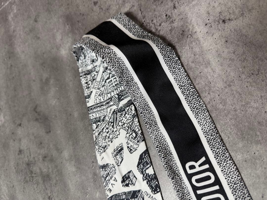 Christian Dior ミッツァ　Plan de Paris