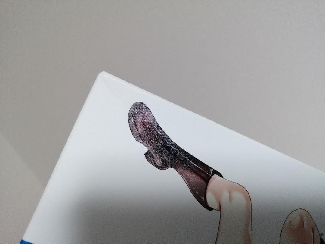 戦翼のシグルドリーヴァ　初回限定版　DVD　全6巻セット