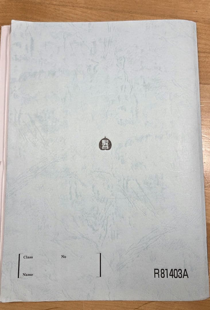 [駿台]物理X 2025年前期・後期 テキスト+ノート