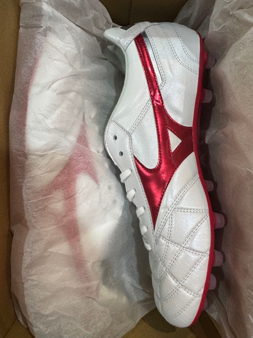 モレリア2JAPAN AG25.0