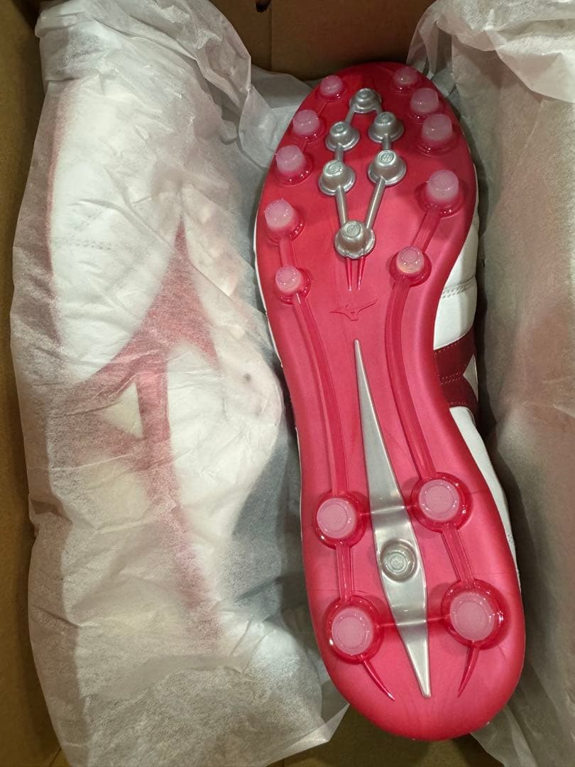 モレリア2JAPAN AG25.0