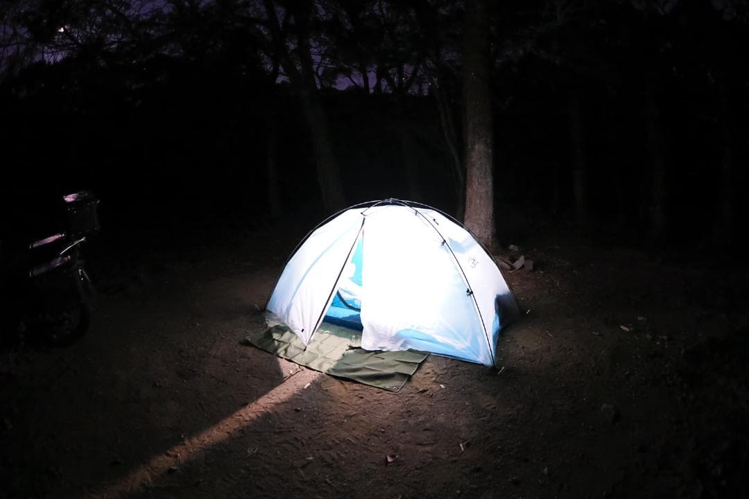 2026年2月1回使用 ゼログラム エルチャルテン プロ DAC 1.5P