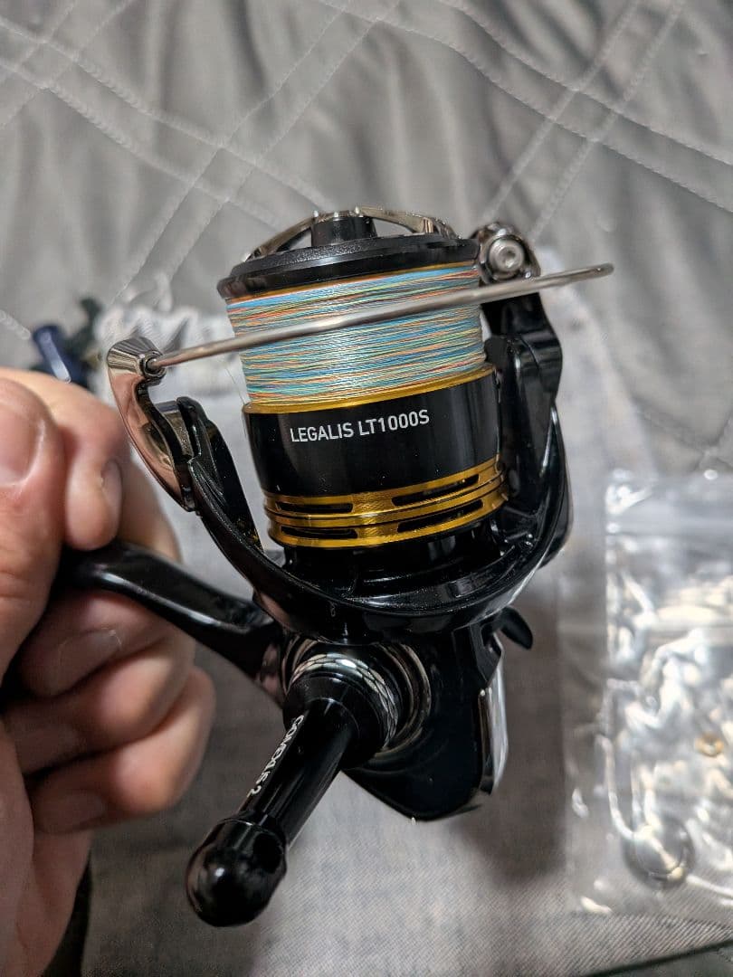23レガリス　LT1000S ちょいカスタム