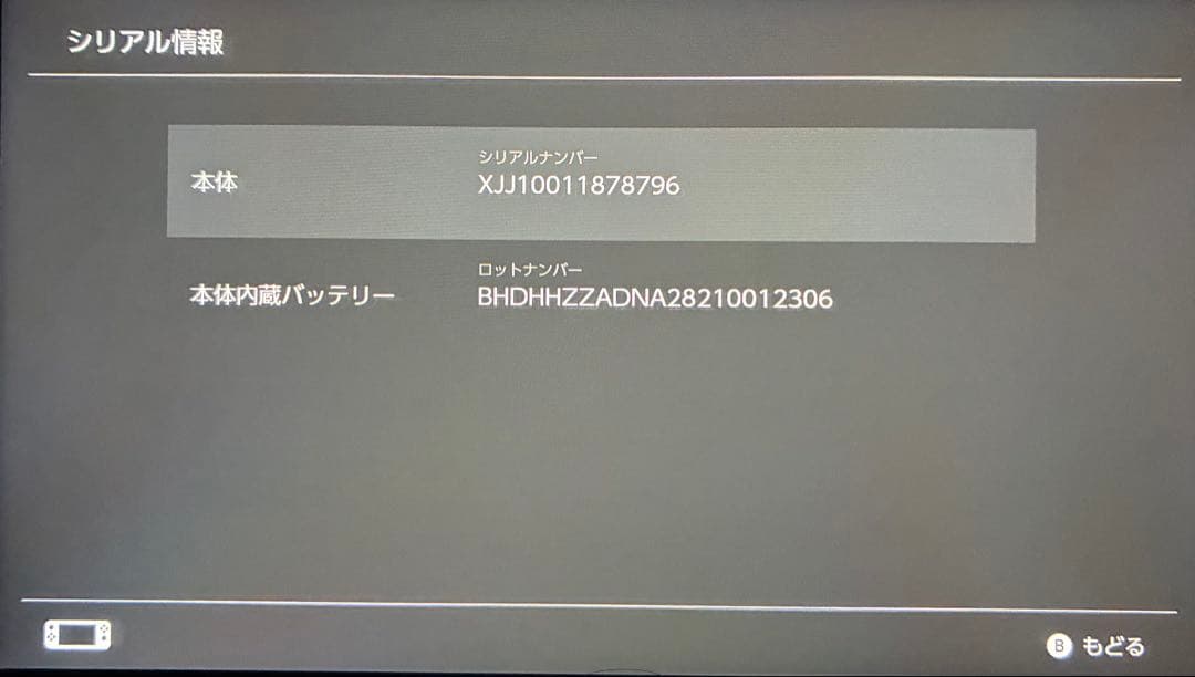 【美品】Nintendo Switch Lite ピンク 充電器等付属品付