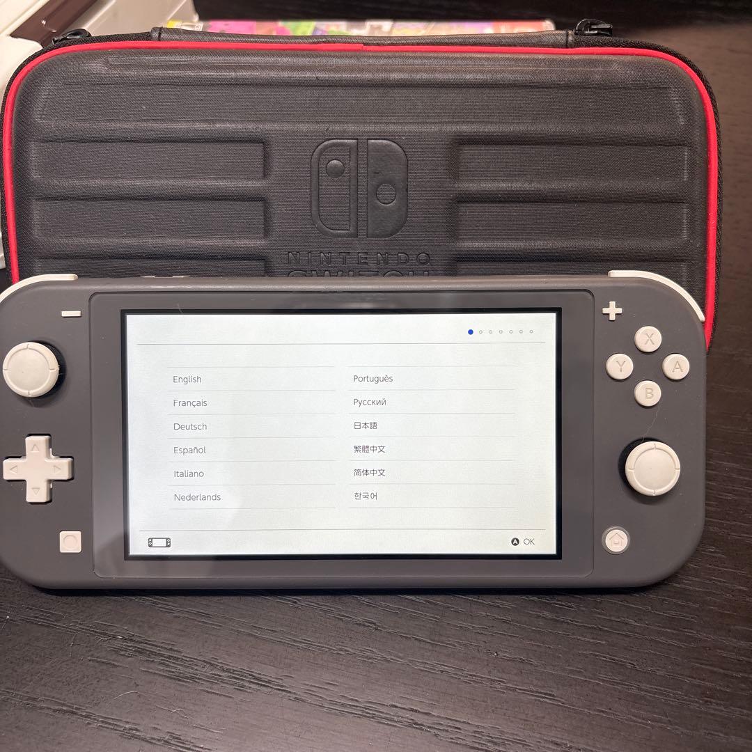 専用　Nintendo Switch Lite グレー　ケース付き