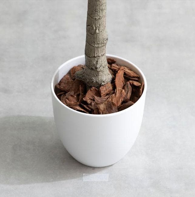 光触媒 人工観葉植物 ユーカリ 高さ130 大型 フェイクグリーン（1272）