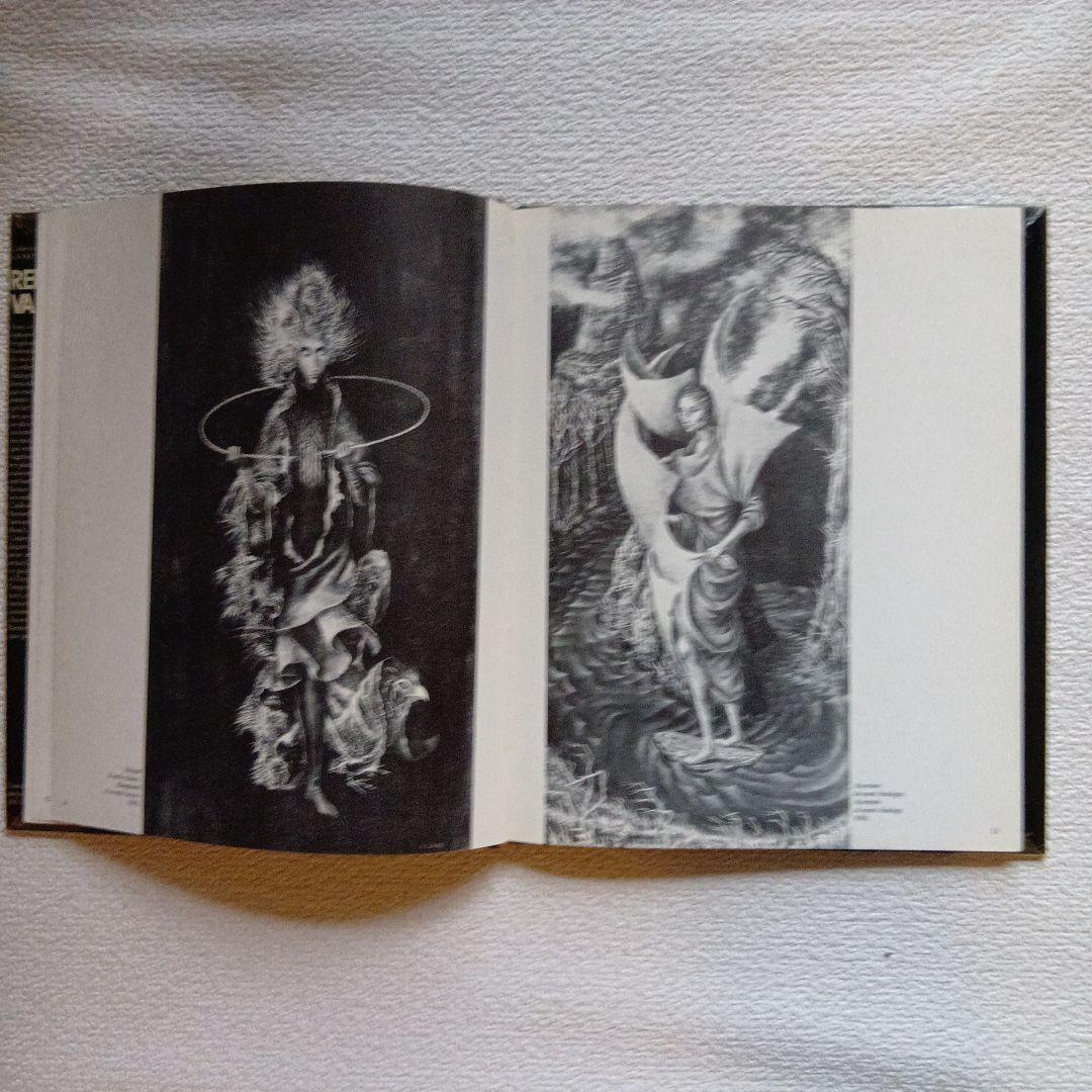 Remedios Varo レメディオス・バロ　画集