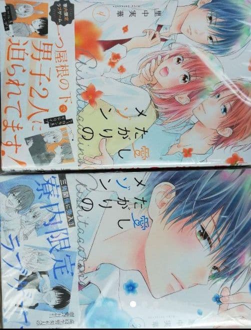 愛したがりのメゾン 全巻セット1ー4巻