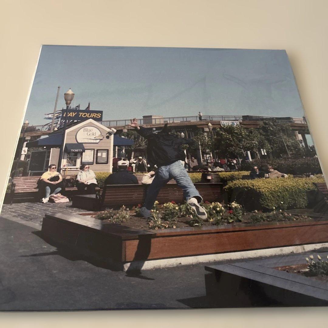 サニーディ・サービス「サニービート」 LPアナログレコード