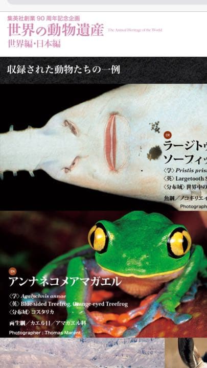 【新品】世界の動物遺産 〜集英社 創業９０周年記念企画〜