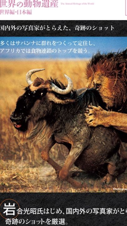 【新品】世界の動物遺産 〜集英社 創業９０周年記念企画〜